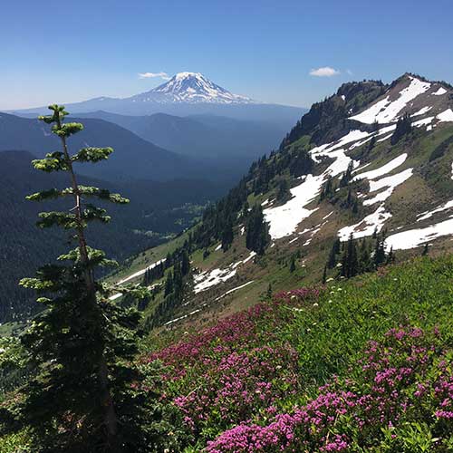 private Oregon tours